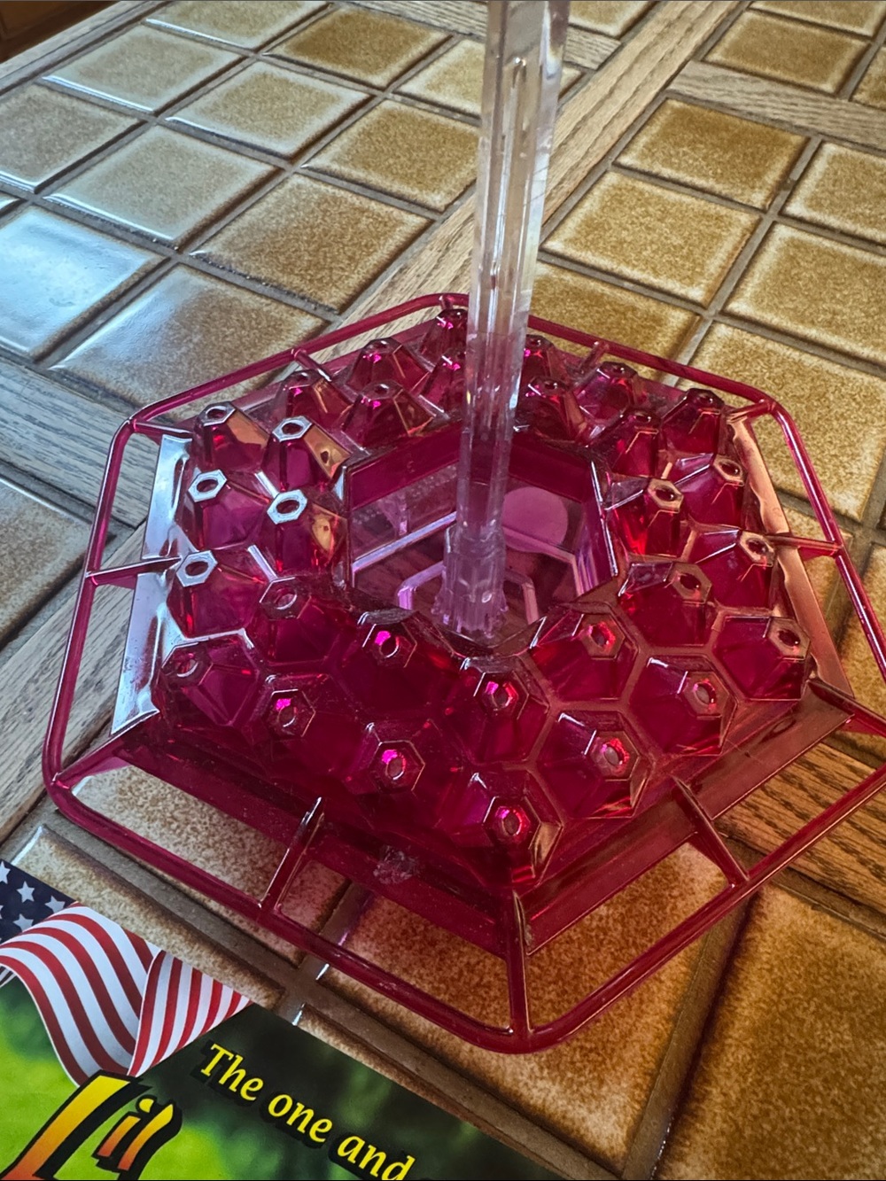 Hummingbird
Feeder with Clear Hanging Hook